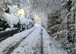 Die schönsten Winterbilder